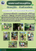 RE-X-RAY โครงการถังขยะเปียก ลดโลกร้อน